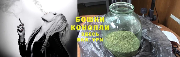 дурь Богданович