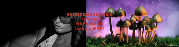 меф Богородицк
