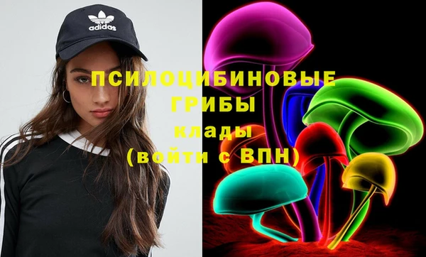 дурь Богданович