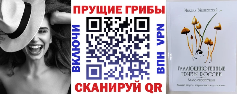 Галлюциногенные грибы ЛСД  нарко площадка какой сайт  Невель 